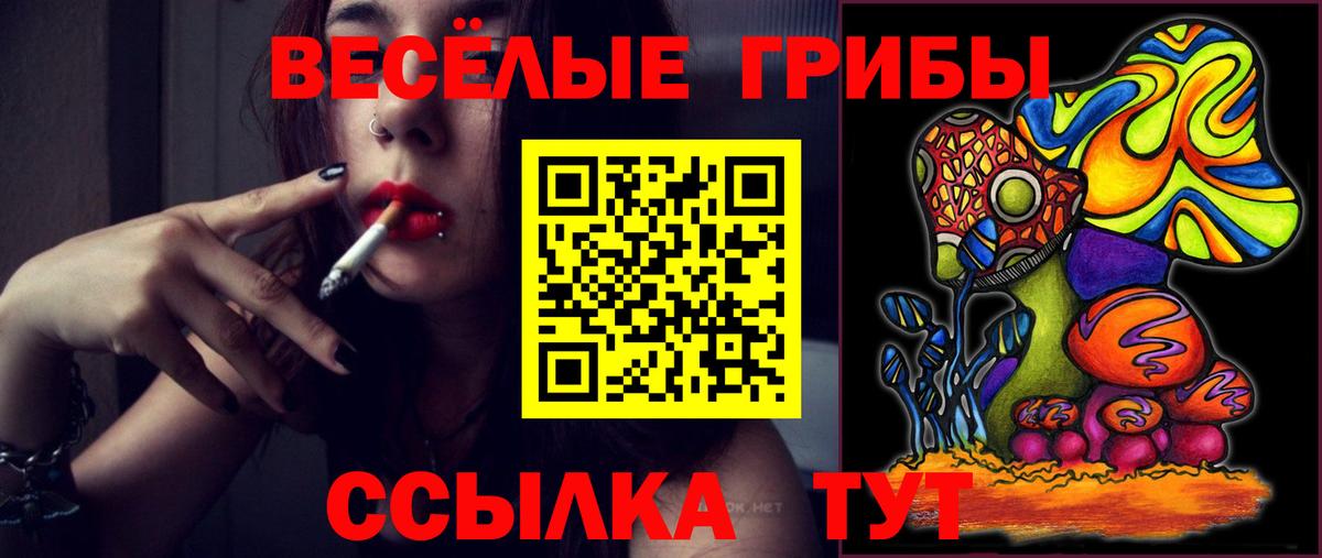 Псилоцибиновые грибы Psilocybine cubensis  где найти   Камень-на-Оби  Вход с VPN  Псилоцибиновые грибы Cubensis 